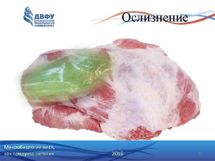 Ослизнение Микробиология мяса, как продукта питания 2016 21 