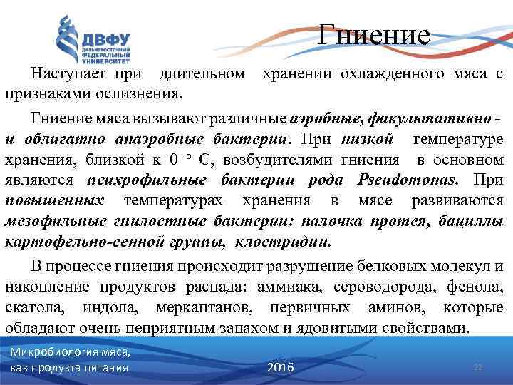 Гниение Наступает при длительном хранении охлажденного мяса с признаками ослизнения. Гниение мяса вызывают различные