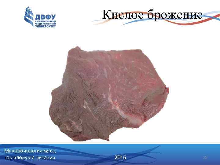 Кислое брожение Микробиология мяса, как продукта питания 2016 25 