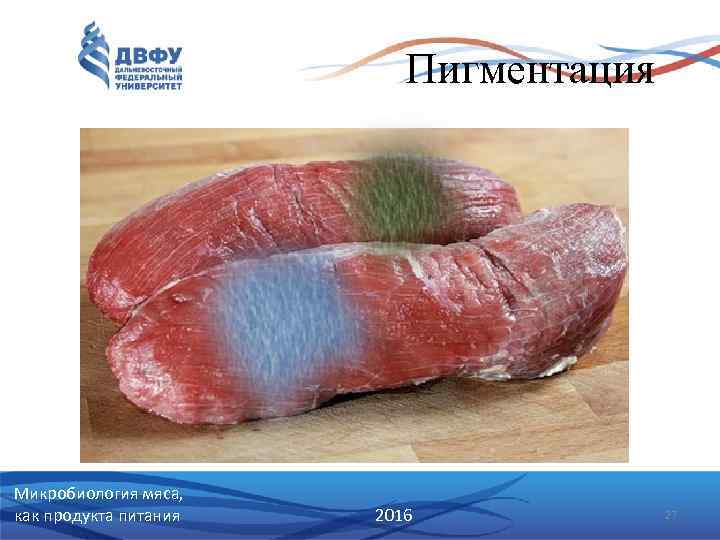 Пигментация Микробиология мяса, как продукта питания 2016 27 