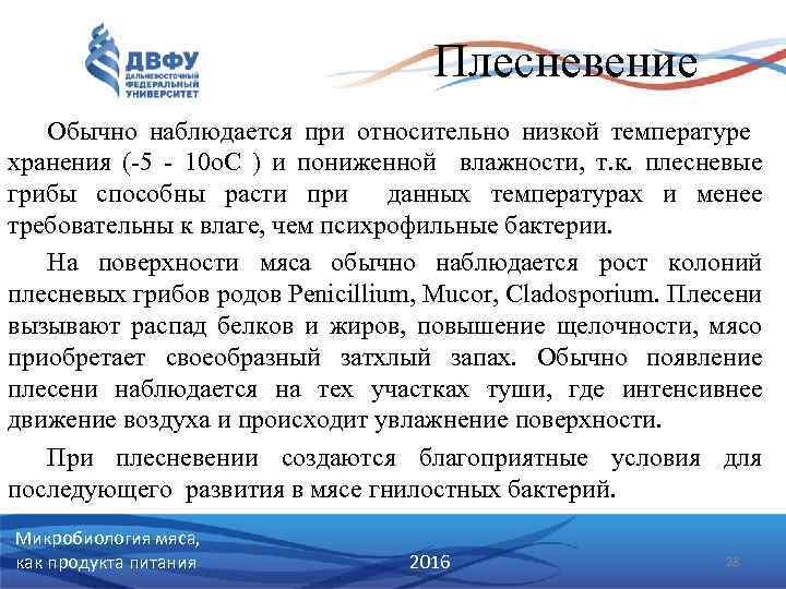 Плесневение Обычно наблюдается при относительно низкой температуре хранения (-5 - 10 о. С )