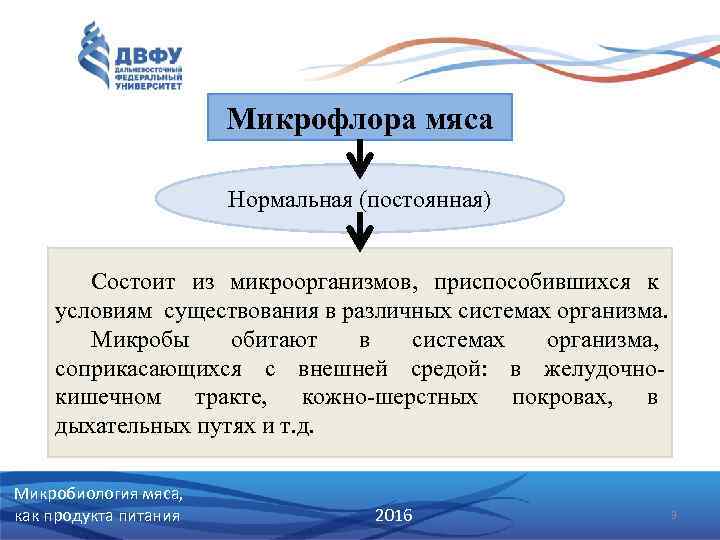 Микрофлора мяса Нормальная (постоянная) Состоит из микроорганизмов, приспособившихся к условиям существования в различных системах