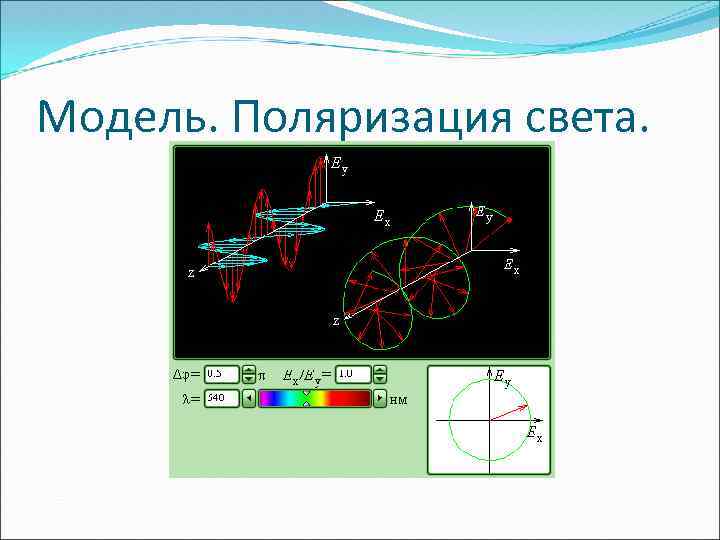 Модель. Поляризация света. 