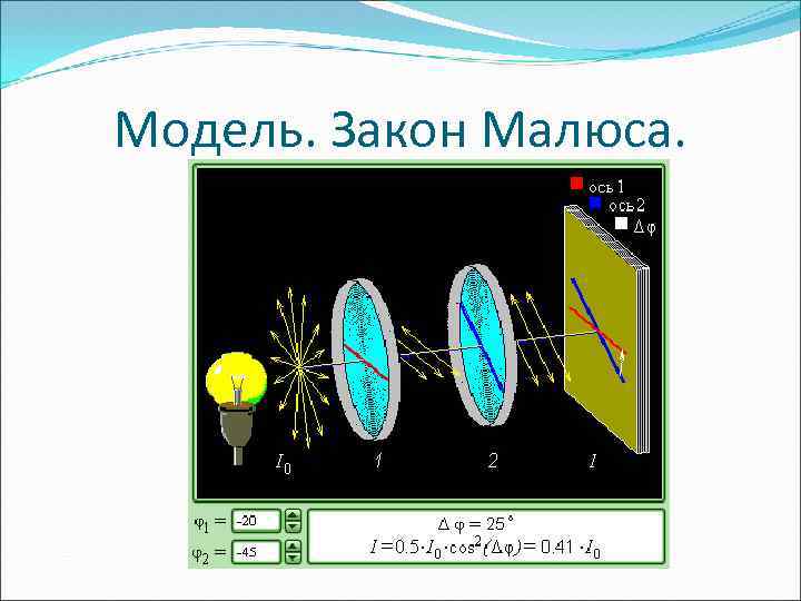 Модель. Закон Малюса. 