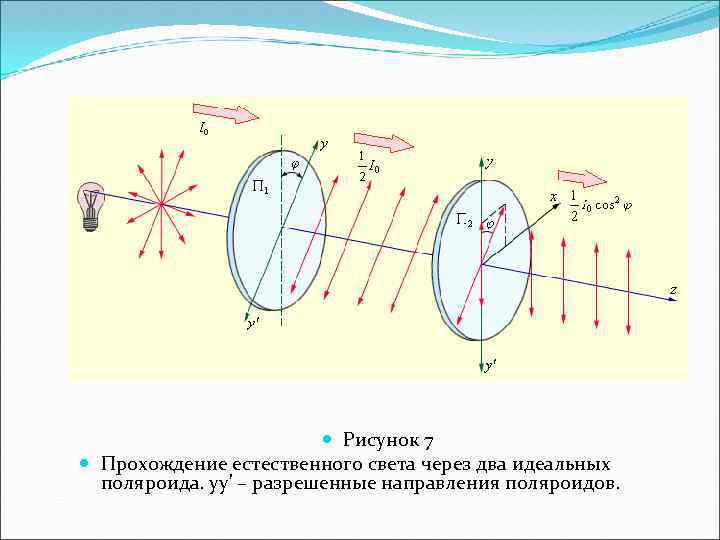  Рисунок 7 Прохождение естественного света через два идеальных поляроида. yy' – разрешенные направления