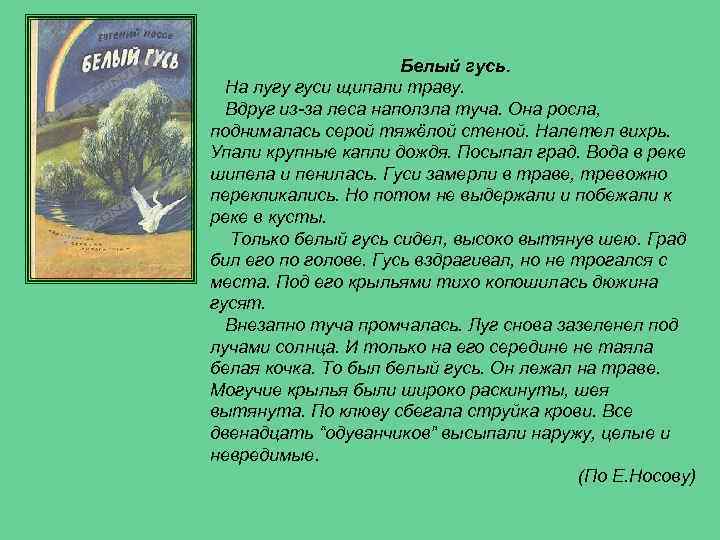 Белый гусь. На лугу гуси щипали траву. Вдруг из-за леса наползла туча. Она росла,