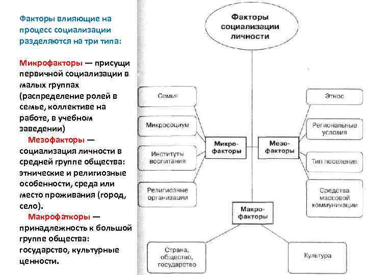 Процесс социализации схема