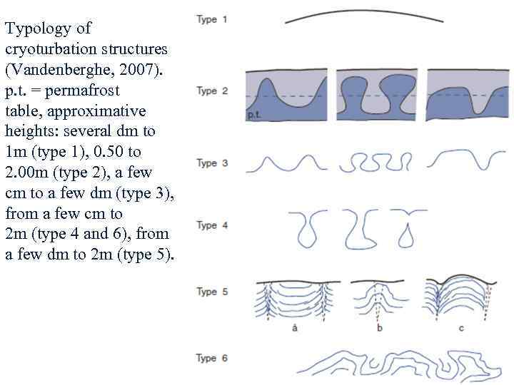 Typology of cryoturbation structures (Vandenberghe, 2007). p. t. = permafrost table, approximative heights: several
