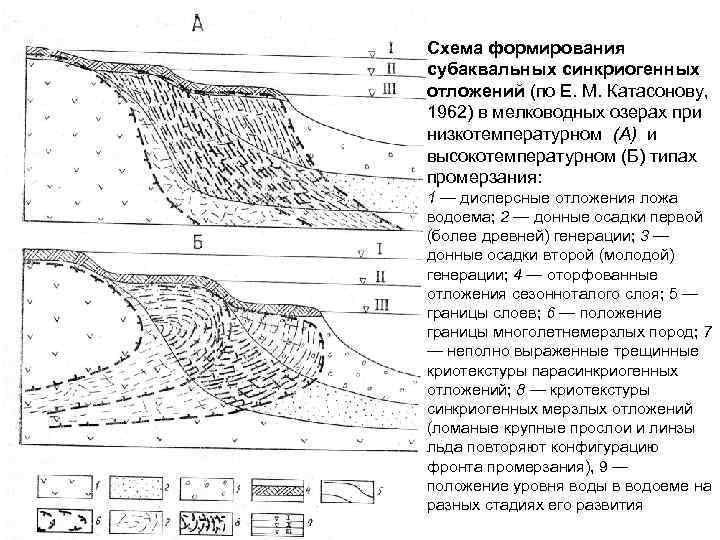 Схема формирования субаквальных синкриогенных отложений (по Е. М. Катасонову, 1962) в мелководных озерах при