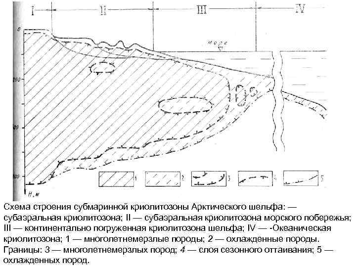 Схема строения субмаринной криолитозоны Арктического шельфа: — субаэральная криолитозона; II — субаэральная криолитозона морского
