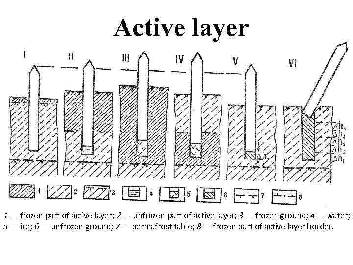 Active layer 1 — frozen part of active layer; 2 — unfrozen part of