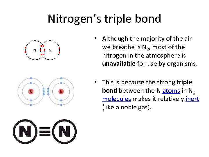 Nitrogen’s triple bond • Although the majority of the air we breathe is N