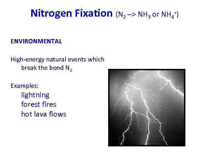 Nitrogen Fixation (N 2 --> NH 3 or NH 4+) ENVIRONMENTAL High-energy natural events