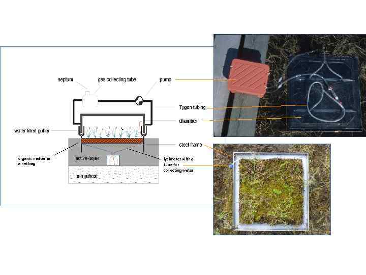 organic matter in a net bag lysimeter with a tube for collecting water 