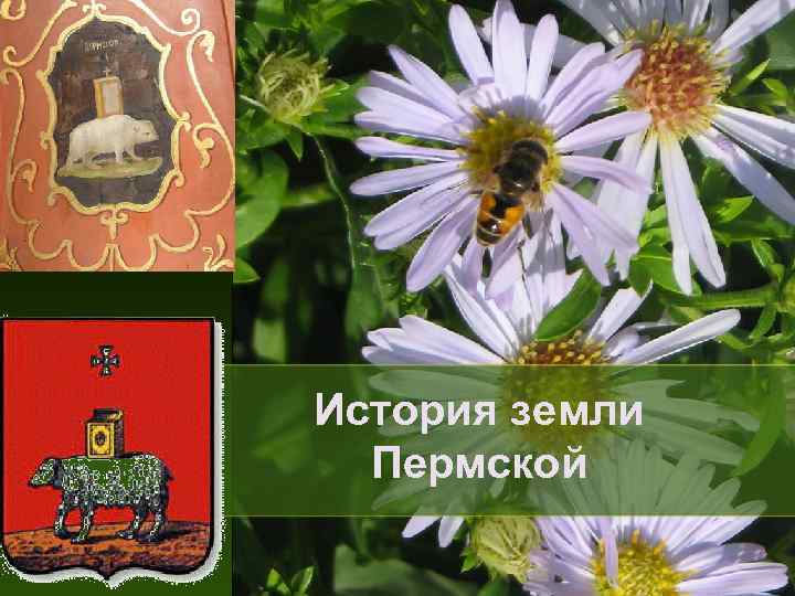 История земли Пермской 