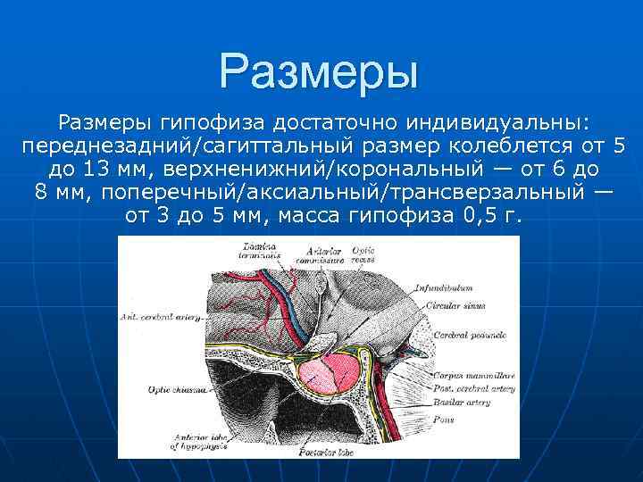 Мр картина диффузно неоднородной структуры гипофиза что это