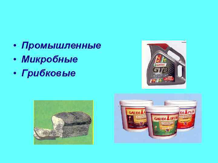  • Промышленные • Микробные • Грибковые 