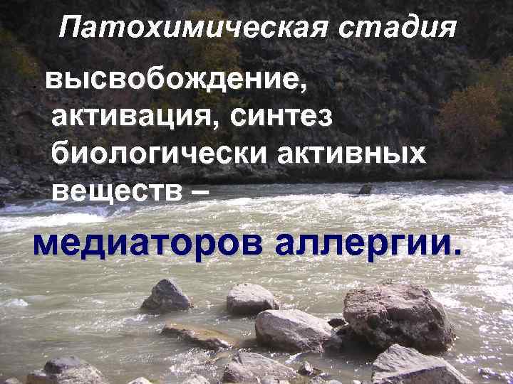 Патохимическая стадия. высвобождение, активация, синтез биологически активных веществ – медиаторов аллергии. 