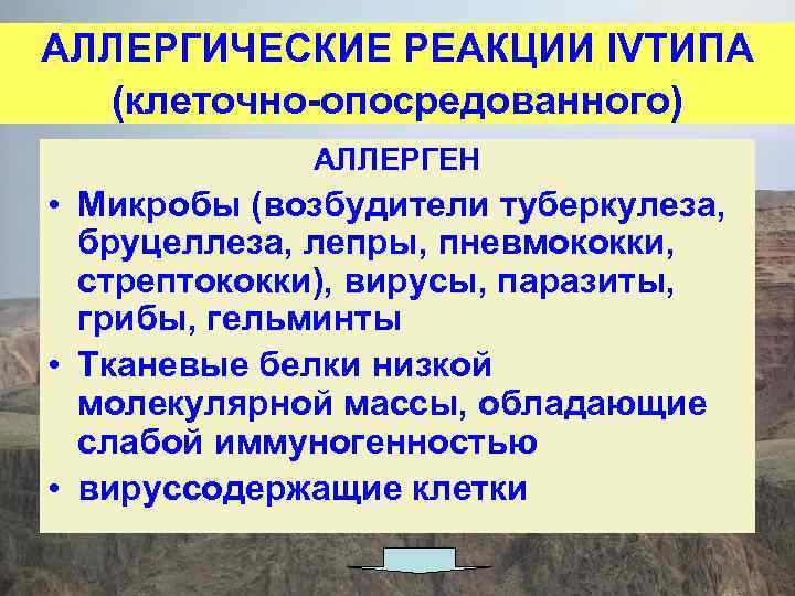АЛЛЕРГИЧЕСКИЕ РЕАКЦИИ IVТИПА (клеточно-опосредованного) АЛЛЕРГЕН • Микробы (возбудители туберкулеза, бруцеллеза, лепры, пневмококки, стрептококки), вирусы,