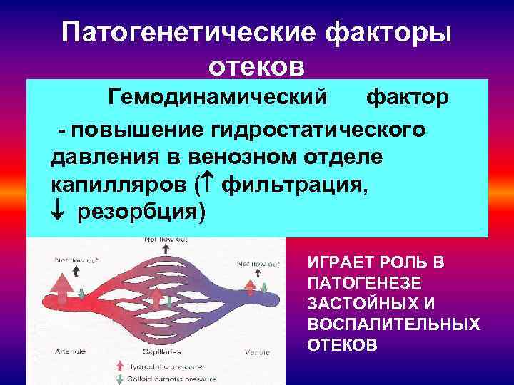 Патогенетические факторы отеков Гемодинамический фактор - повышение гидростатического давления в венозном отделе капилляров (
