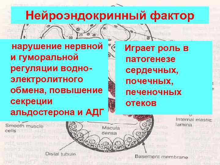 Нейроэндокринный фактор нарушение нервной и гуморальной регуляции водноэлектролитного обмена, повышение секреции альдостерона и АДГ