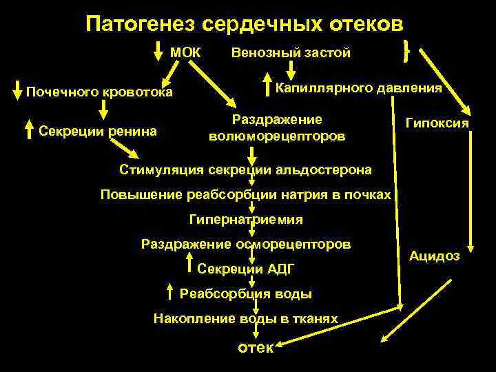 Патогенез сердечных отеков МОК Венозный застой Капиллярного давления Почечного кровотока Секреции ренина Раздражение волюморецепторов