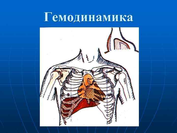 Гемодинамика 