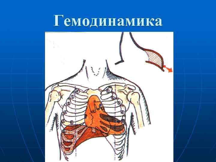 Гемодинамика 