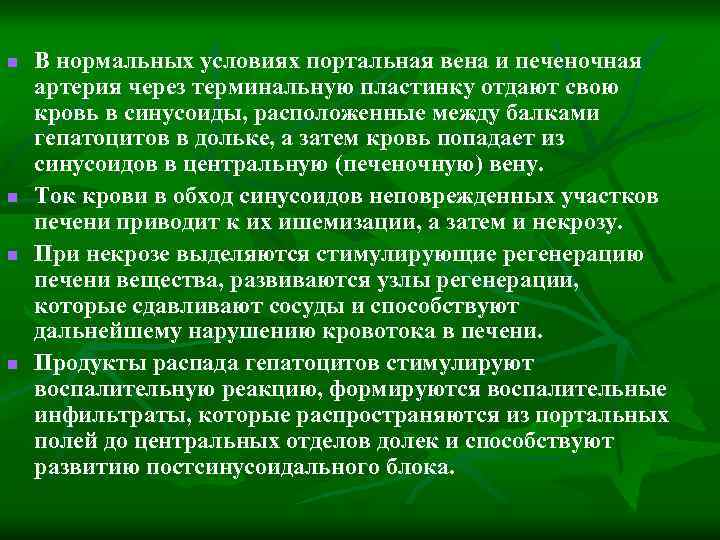 n n В нормальных условиях портальная вена и печеночная артерия через терминальную пластинку отдают