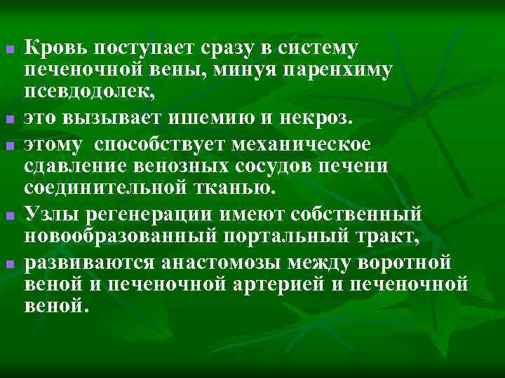 n n n Кровь поступает сразу в систему печеночной вены, минуя паренхиму псевдодолек, это