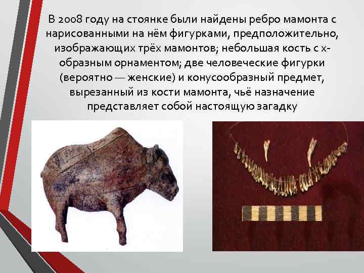 В 2008 году на стоянке были найдены ребро мамонта с нарисованными на нём фигурками,