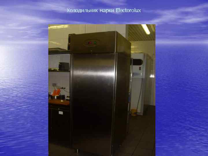 Холодильник марки Electorolux 