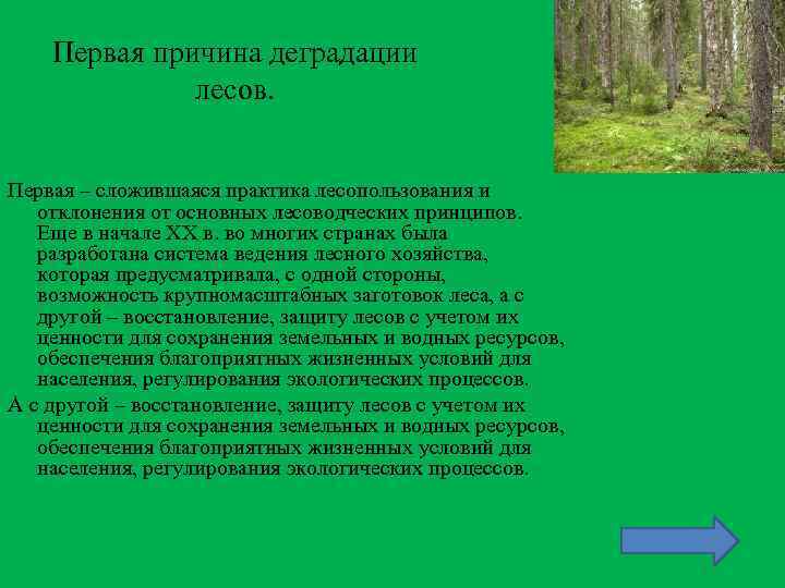 Три группы лесов. Причины деградации лесных ресурсов. Причины деградации лесов. Деградация лесов в России. Деградация лесов пути решения.