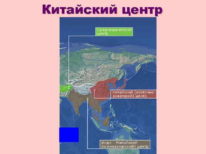 Китайский центр 
