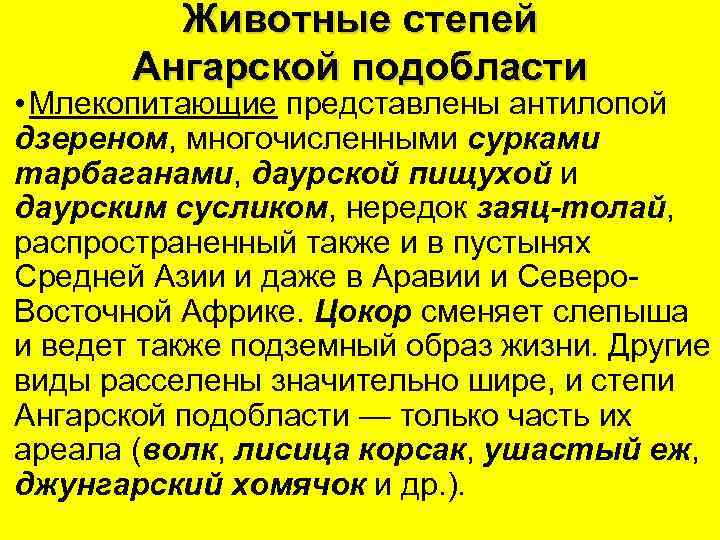 Животные степей Ангарской подобласти • Млекопитающие представлены антилопой дзереном, многочисленными сурками тарбаганами, даурской пищухой