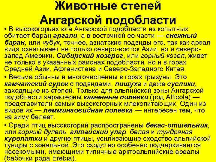 Животные степей Ангарской подобласти • В высокогорьях юга Ангарской подобласти из копытных обитает баран