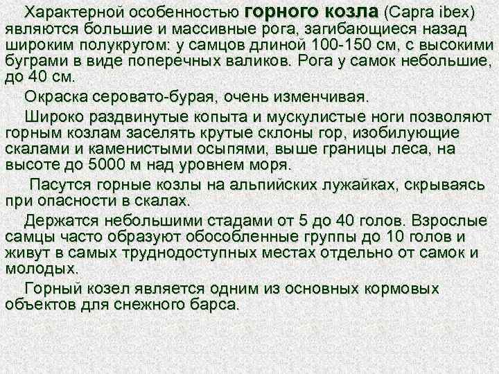 Характерной особенностью горного козла (Capra ibex) являются большие и массивные рога, загибающиеся назад широким