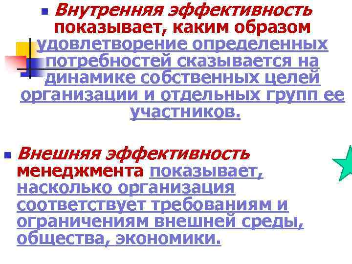 n Внутренняя эффективность показывает, каким образом удовлетворение определенных потребностей сказывается на динамике собственных целей