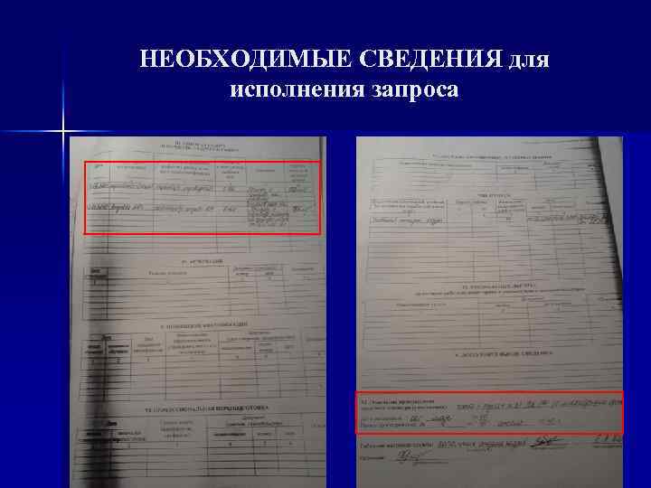 НЕОБХОДИМЫЕ СВЕДЕНИЯ для исполнения запроса 