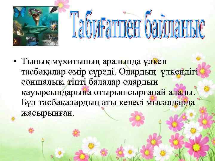  • Тынық мұхитының аралында үлкен тасбақалар өмір сүреді. Олардың үлкендігі соншалық, тіпті балалар