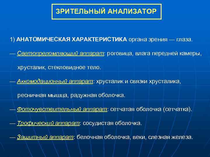 ЗРИТЕЛЬНЫЙ АНАЛИЗАТОР 1) АНАТОМИЧЕСКАЯ ХАРАКТЕРИСТИКА органа зрения — глаза. — Светопреломляющий аппарат: роговица, влага