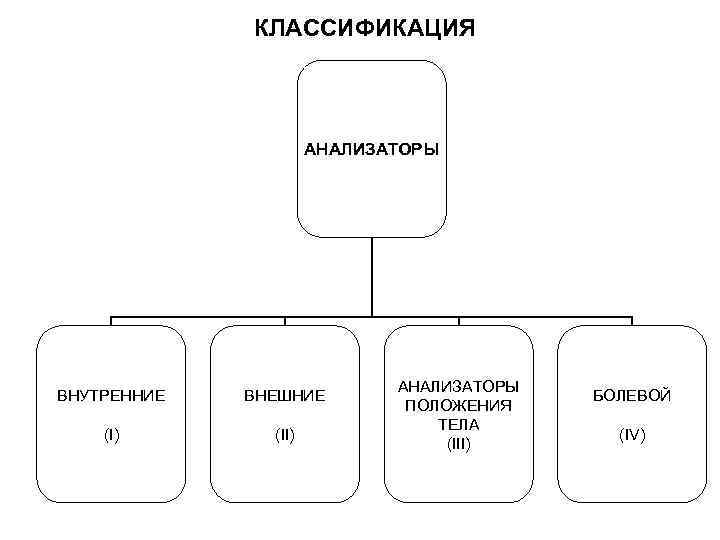 КЛАССИФИКАЦИЯ АНАЛИЗАТОРЫ ВНУТРЕННИЕ ВНЕШНИЕ (I) (II) АНАЛИЗАТОРЫ ПОЛОЖЕНИЯ ТЕЛА (III) БОЛЕВОЙ (IV) 