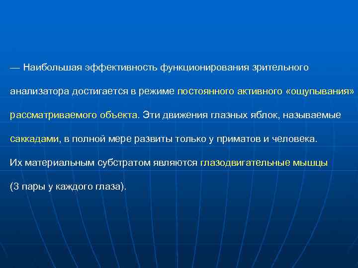 — Наибольшая эффективность функционирования зрительного анализатора достигается в режиме постоянного активного «ощупывания» рассматриваемого объекта.