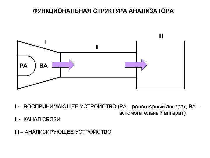 ФУНКЦИОНАЛЬНАЯ СТРУКТУРА АНАЛИЗАТОРА III I РА II ВА I ВОСПРИНИМАЮЩЕЕ УСТРОЙСТВО (РА – рецепторный