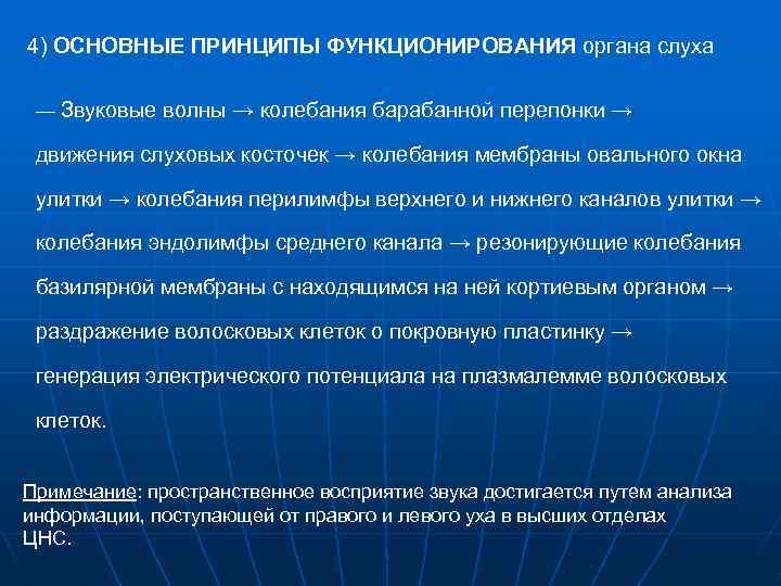 4) ОСНОВНЫЕ ПРИНЦИПЫ ФУНКЦИОНИРОВАНИЯ органа слуха — Звуковые волны → колебания барабанной перепонки →