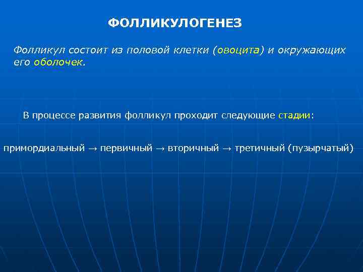 ФОЛЛИКУЛОГЕНЕЗ Фолликул состоит из половой клетки (овоцита) и окружающих его оболочек. В процессе развития