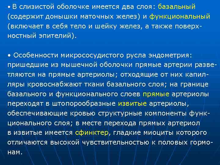  • В слизистой оболочке имеется два слоя: базальный (содержит донышки маточных желез) и