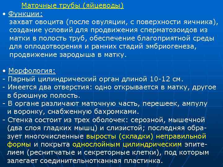 Маточные трубы (яйцеводы) • Функции: захват овоцита (после овуляции, с поверхности яичника), создание условий