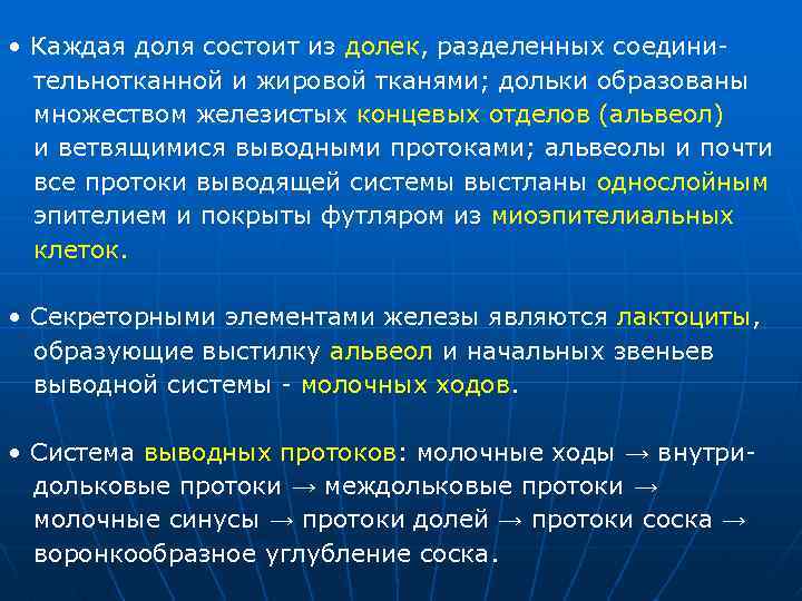  • Каждая доля состоит из долек, разделенных соединительнотканной и жировой тканями; дольки образованы