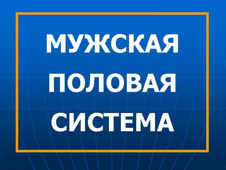 МУЖСКАЯ ПОЛОВАЯ СИСТЕМА 